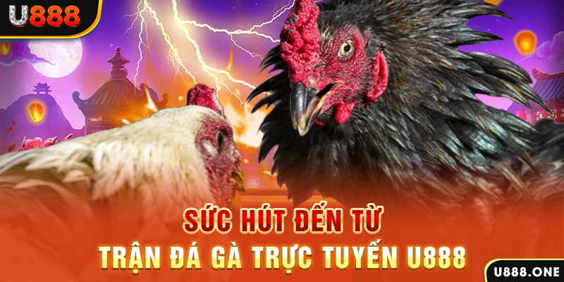 s666 vegas hòn gà chọi