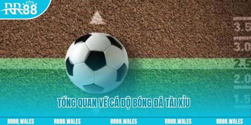 s666 vegas JDB Điện Tử